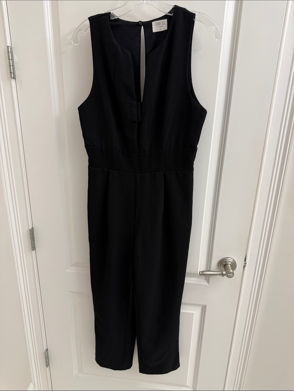 Sienna Sky Black Sleeveless V-Neck Jumpsuit